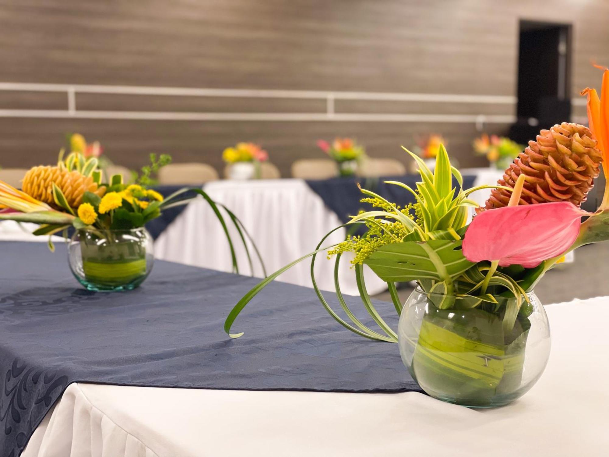 Hotel Punta Arena Spa Boutique Arauca Kültér fotó