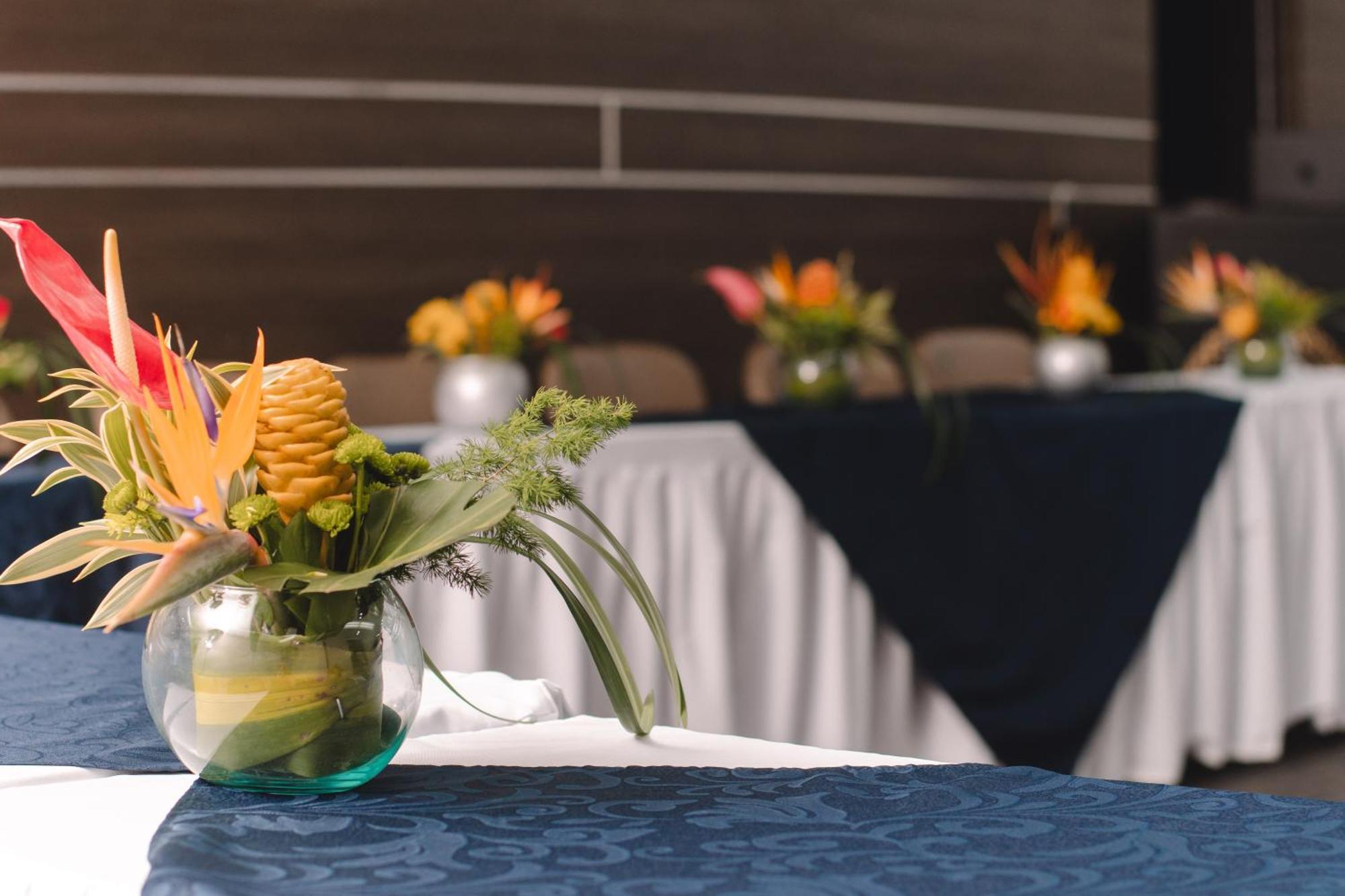 Hotel Punta Arena Spa Boutique Arauca Kültér fotó
